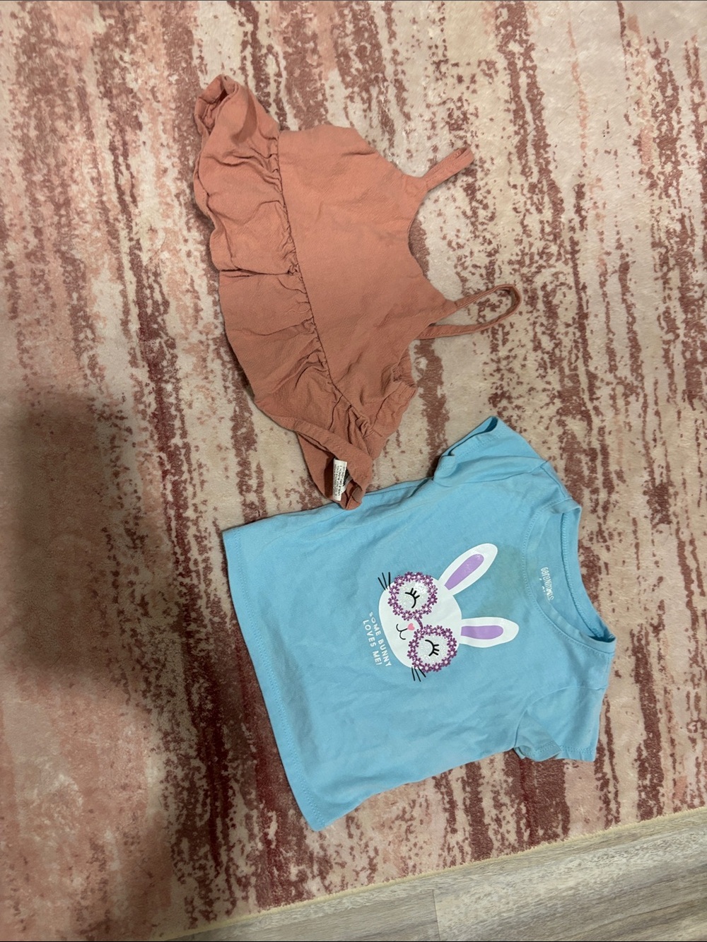 Garanimals Blue Bunny Graphic Tee & Rust Ruffle Tank Top